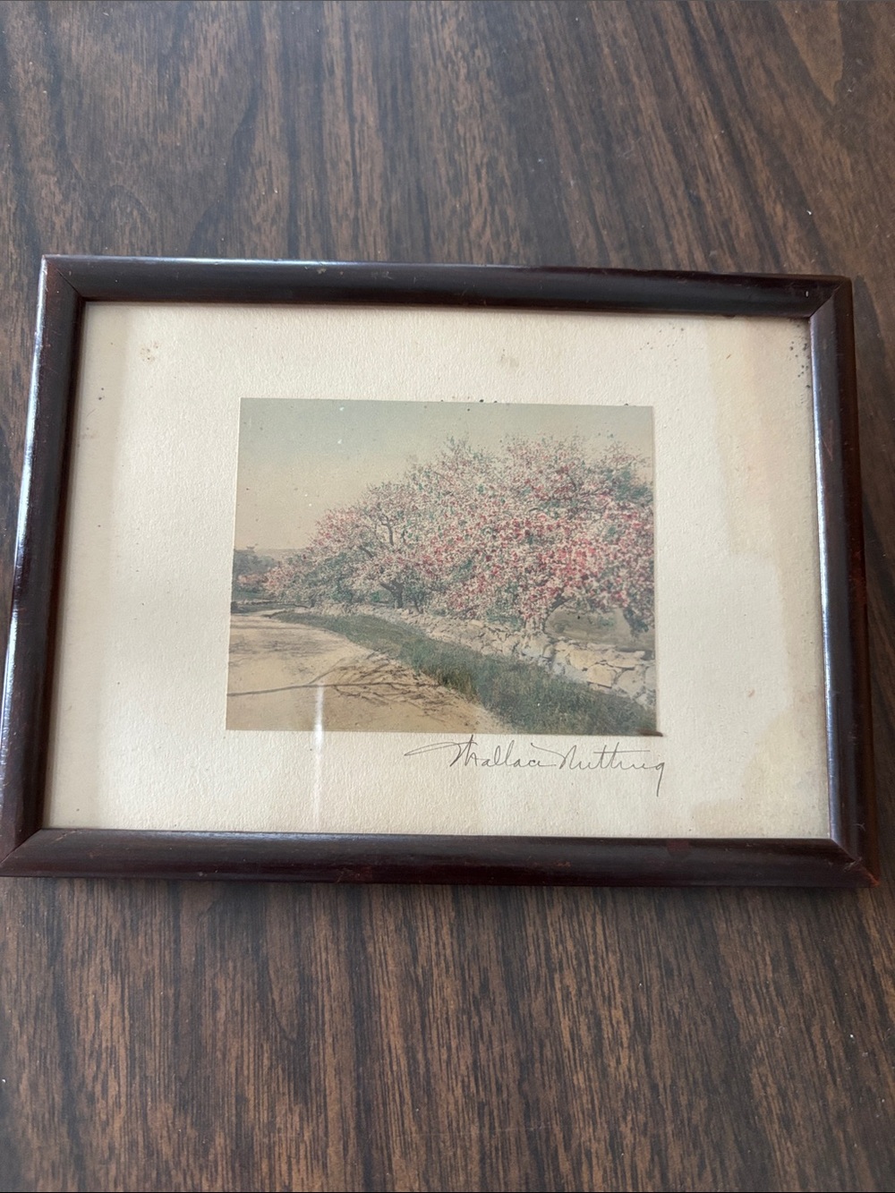 Vintage Wallace Nutting hand painted photo, signed,pink flowering trees,7.5x5.5”